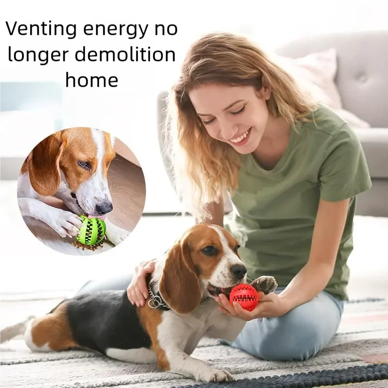 Dog Teeth Cleaning Chew Ball — Durable Rubber Interactive Toy