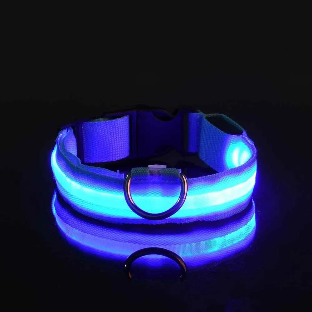LED Glow Dog Collar — Light-Up Safety Collar for Night Walks