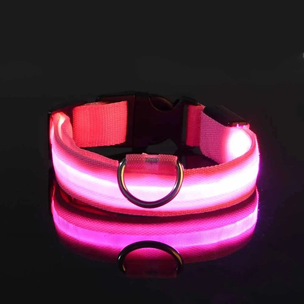 LED Glow Dog Collar — Light-Up Safety Collar for Night Walks