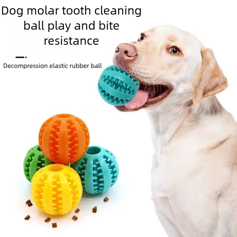 Dog Teeth Cleaning Chew Ball — Durable Rubber Interactive Toy
