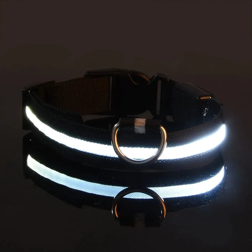 LED Glow Dog Collar — Light-Up Safety Collar for Night Walks