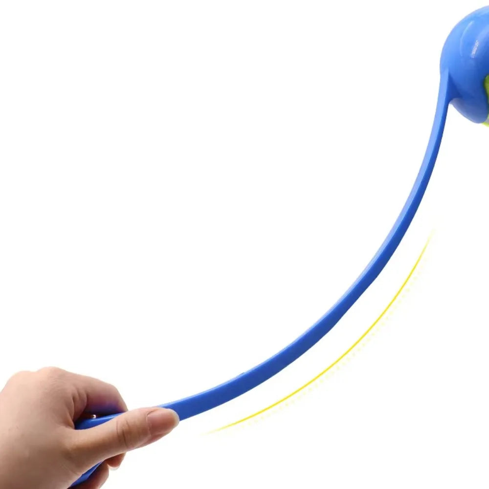 Dog & Cat Ball Launcher Toy