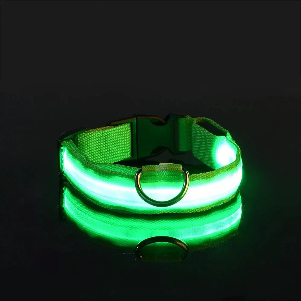 LED Glow Dog Collar — Light-Up Safety Collar for Night Walks