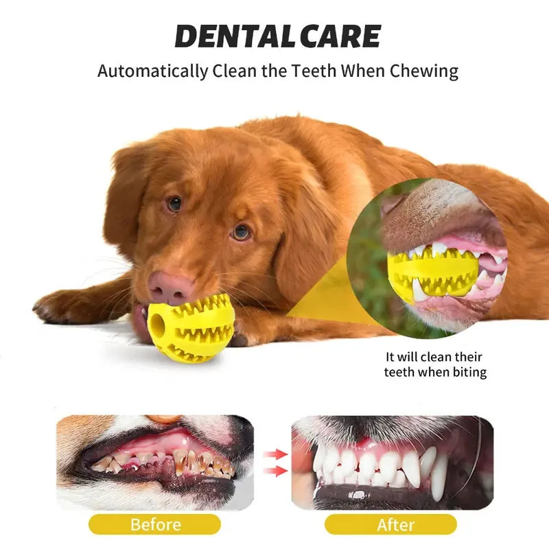 Dog Teeth Cleaning Chew Ball — Durable Rubber Interactive Toy