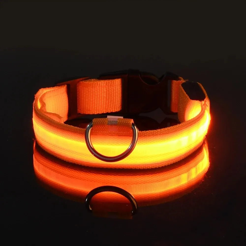 LED Glow Dog Collar — Light-Up Safety Collar for Night Walks