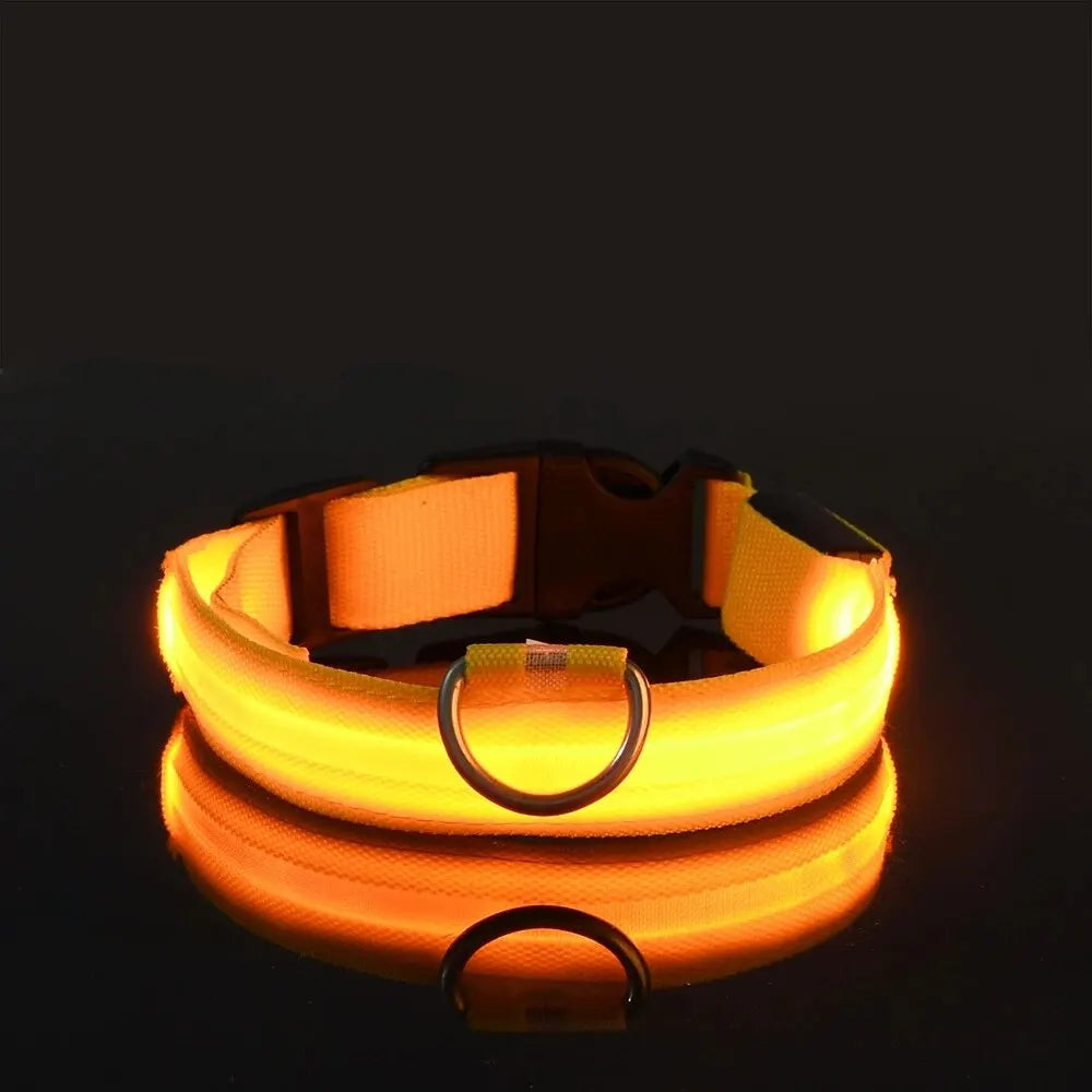 LED Glow Dog Collar — Light-Up Safety Collar for Night Walks